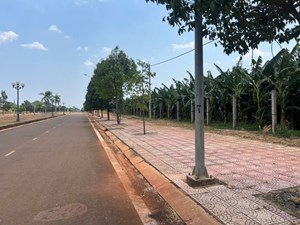 Cần bán đất khu công nghiệp tỉnh Đồng Nai